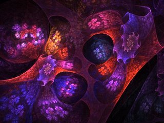  Stacey Whaley: Fractals, Clarksville, Indiana, USA